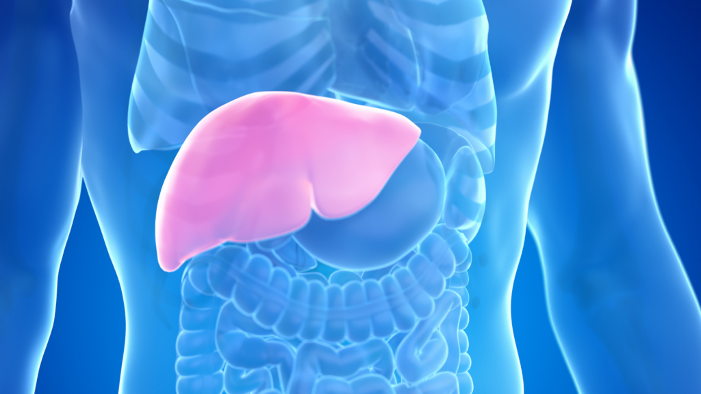 Liver Disease2
