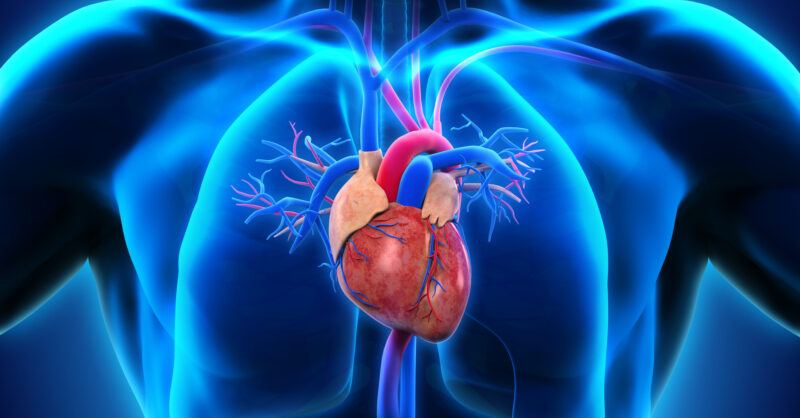 Cardiovascular disease2