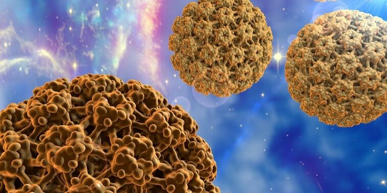 HPV-v1-panorama-7126853789679c126106ce34d14785a8-ifmulep01ros