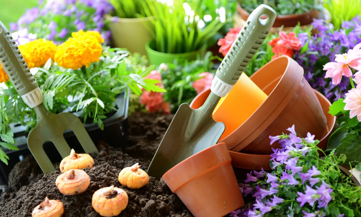 The Therapeutic Joy of Gardening